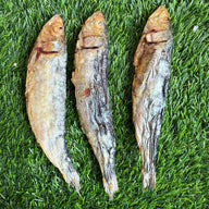 Sardines - 5" to 7" in & Freeze-Dried Treat for Dogs & Cats