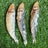Sardines - 5" to 7" in & Freeze-Dried Treat for Dogs & Cats