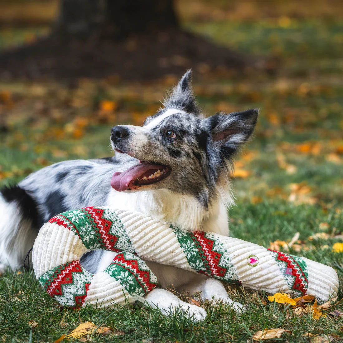 HuggleHounds Holiday Favorite Wintergreen Candy Cane Dog Toy