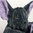 HuggleHounds Baxter Bat Halloween