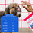 Cranberry Bladder Chews, Kidney & Urinary Supplement for Dog