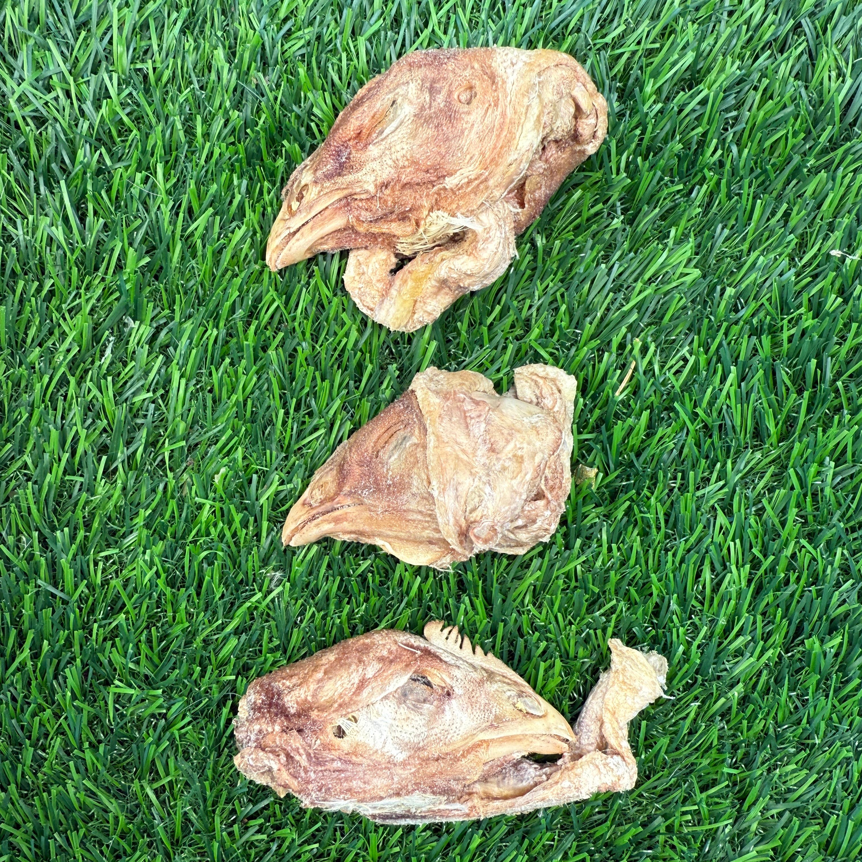 Chicken Head - Freeze-Dried Treat for Dogs