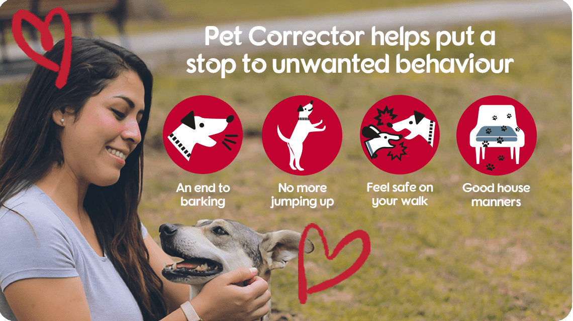 Pet Corrector