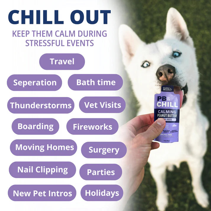 PB&CHILL Calming Peanut Butter For Dogs