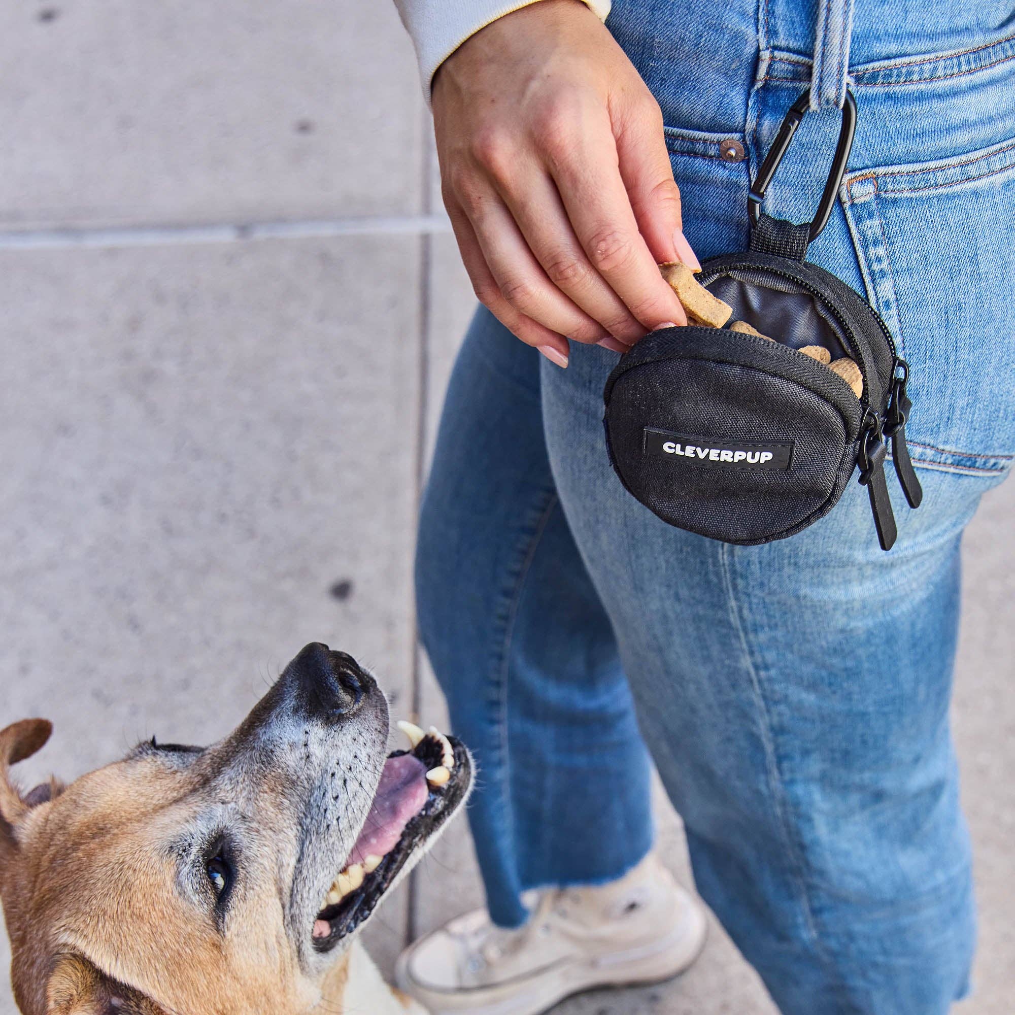 Snackpack Double Insulated Dog Treat Pouch