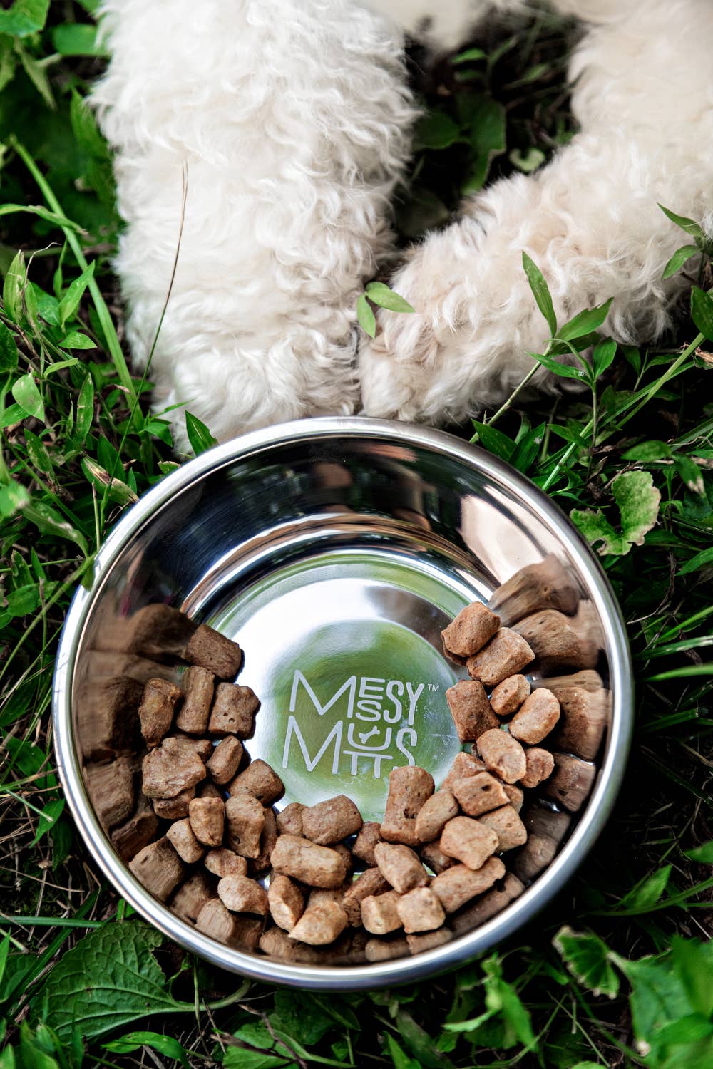 Messy Mutts Heavy Stainless Bowl Removable Silicone Base XL