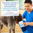Probiotic & Prebiotic Powder Vet-Formulated Supplement
