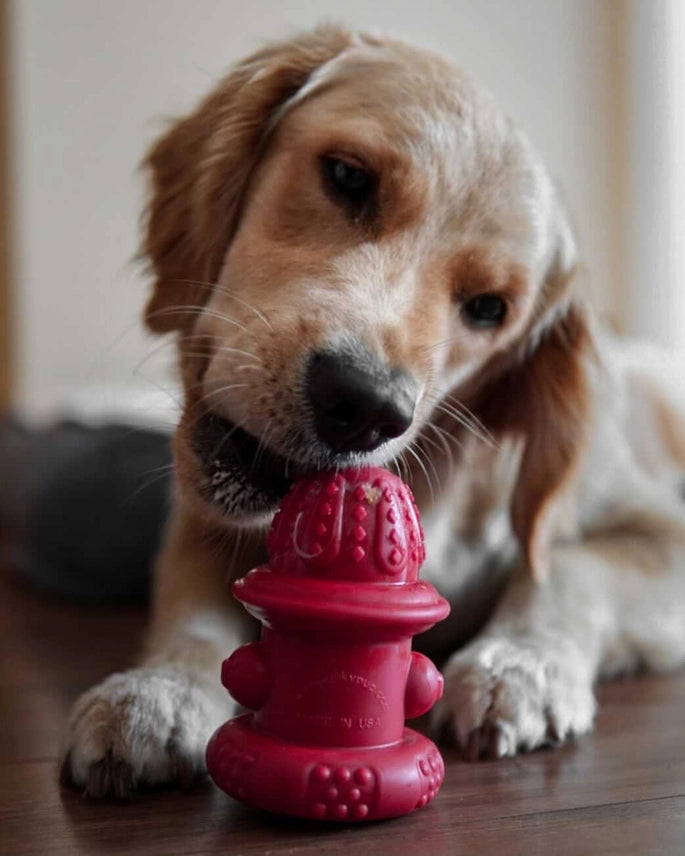 The Hydrant