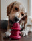 The Hydrant