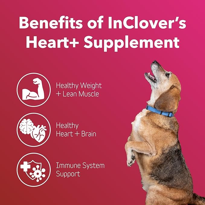 Dog and Cat Cardiac Health Supplement
