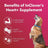 Dog and Cat Cardiac Health Supplement