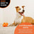 BIONIC Stuffer Treat Dog Toy - High-Visibility Treat Dispenser, Great for Redirected Chewing