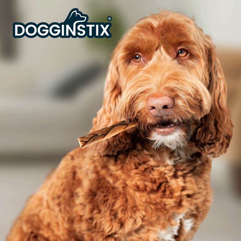 Natural Braided Lamb Collagen Stick Dog Chew - Odor Free Digestive Health Treat