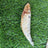 Sardines - 5" to 7" in & Freeze-Dried Treat for Dogs & Cats