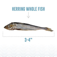 Icelandic Herring Whole Fish Dog Treats