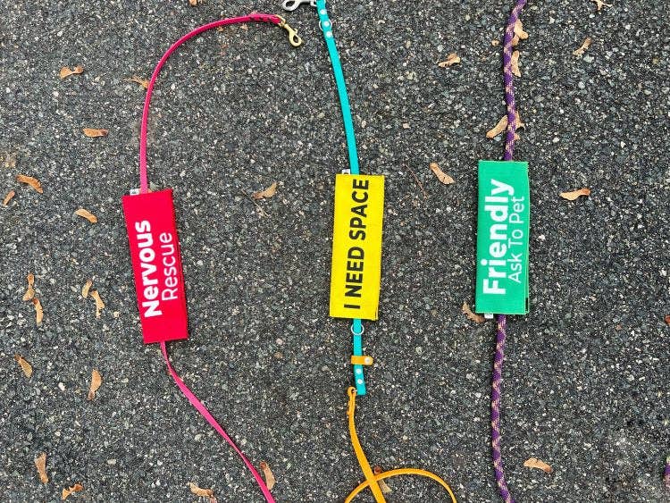 Do Not Pet (with icons) Leash Wrap