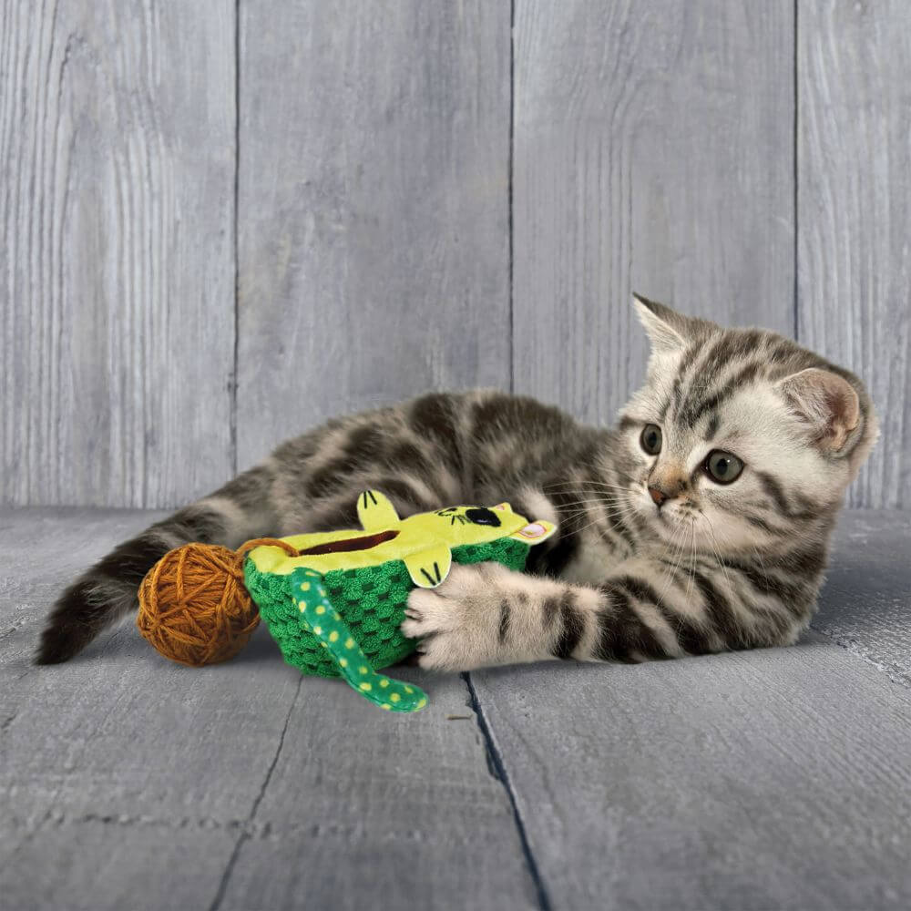 Avocato Cat Toy Kong
