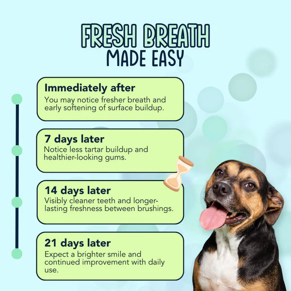 Dental Dust Dental Powder for Dogs