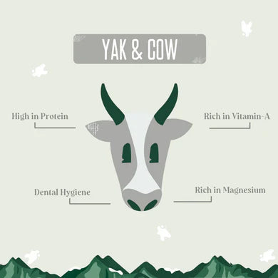 Yak Chews - Yak & Cow