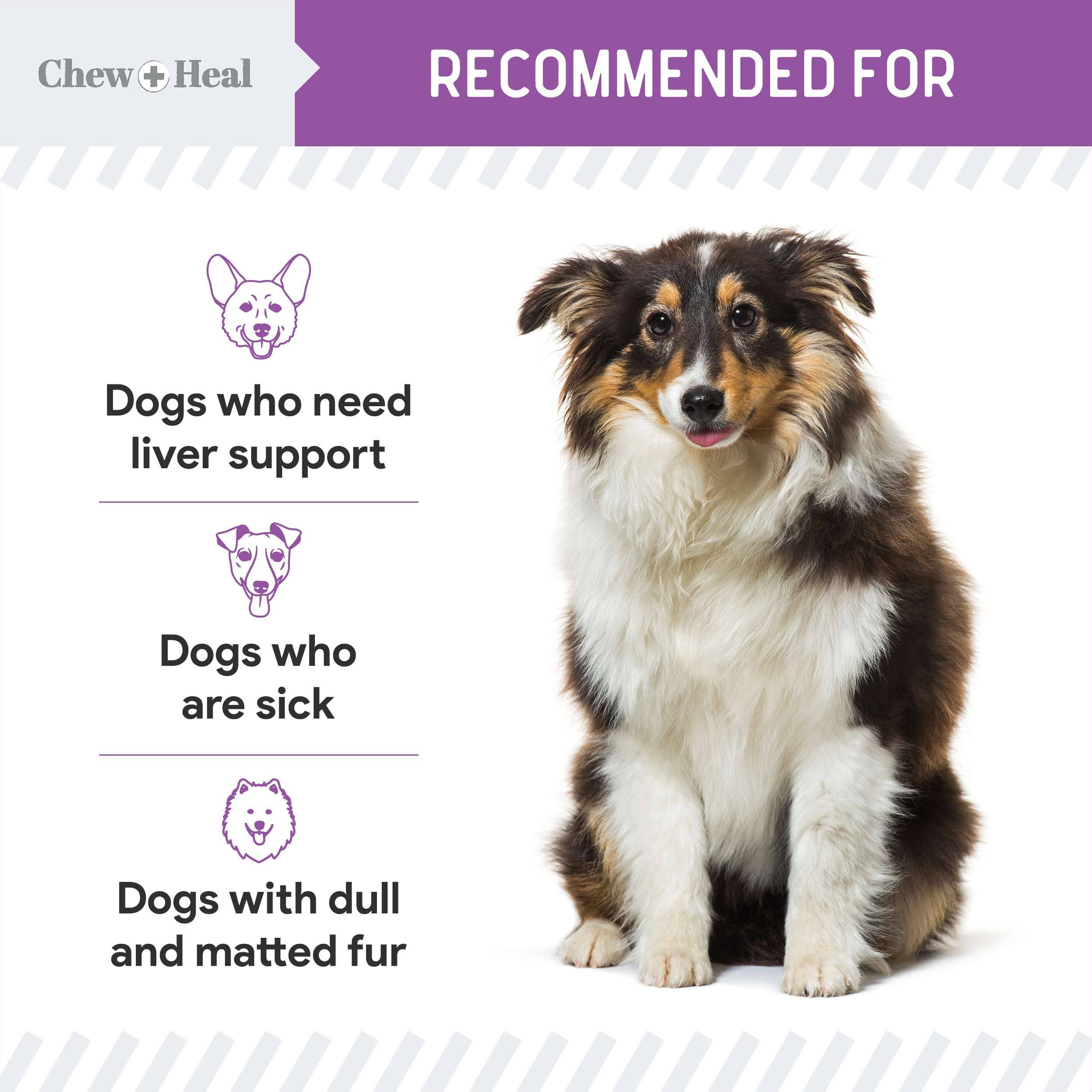 Milk Thistle Tincture with Moringa & Salmon Oil for Dogs