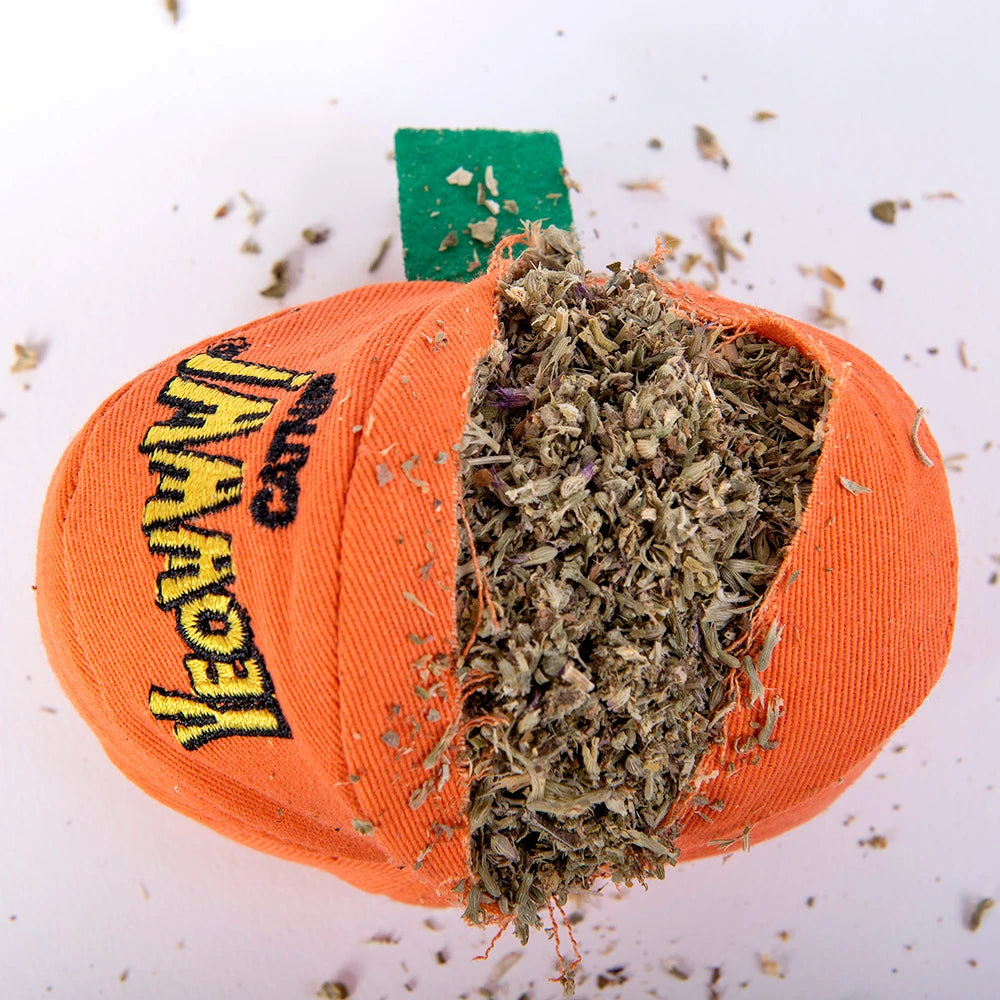 Yeowww!-loween Pumpkin