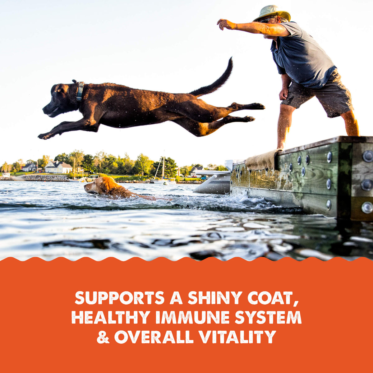 Grizzly Salmon Oil Omega Plus with Wild Alaskan Salmon, Pollock & Whitefish