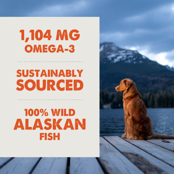 Grizzly Salmon Oil Omega Plus with Wild Alaskan Salmon, Pollock & Whitefish