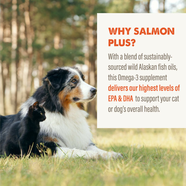 Grizzly Salmon Oil Omega Plus with Wild Alaskan Salmon, Pollock & Whitefish