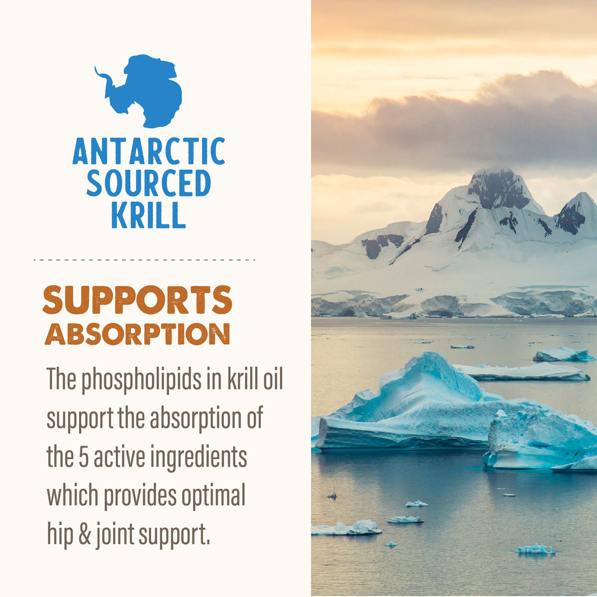 Grizzly Hip & Joint Supplement with Glucosamine, Chondroitin, MSM, Hyaluronic Acid & Krill Oil
