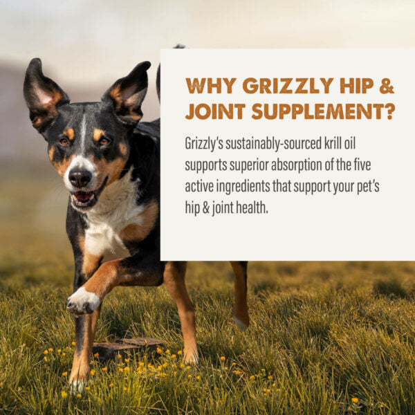 Grizzly Hip & Joint Supplement with Glucosamine, Chondroitin, MSM, Hyaluronic Acid & Krill Oil