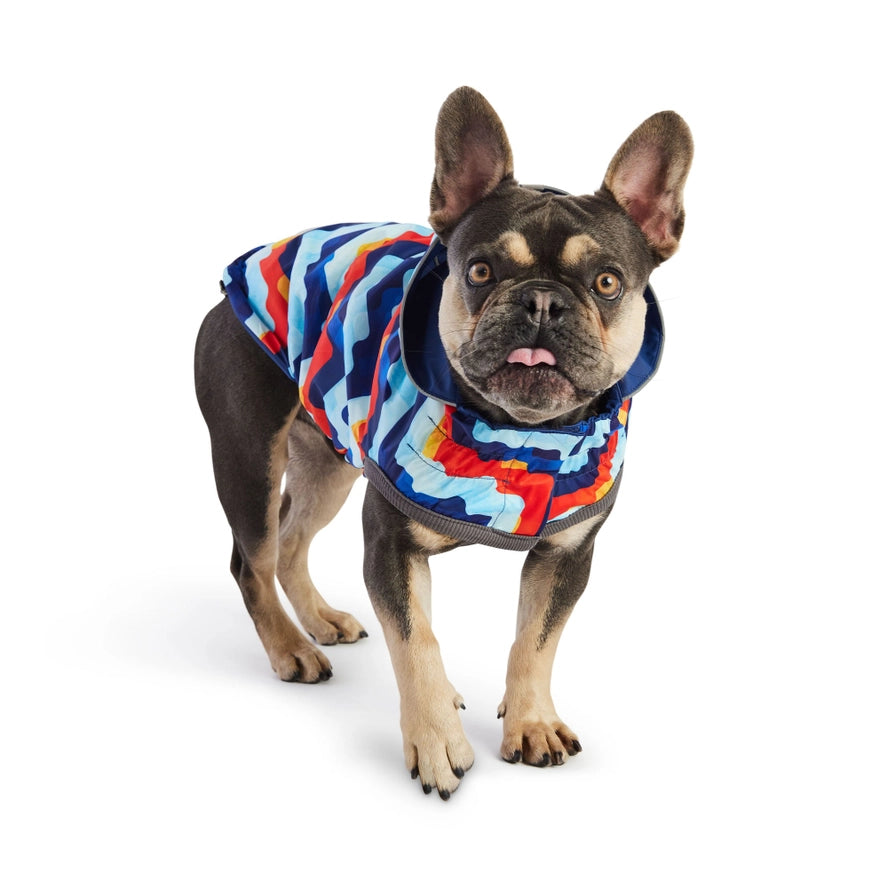 GF Pet Reversible Elasto-Fit Raincoat - Blue