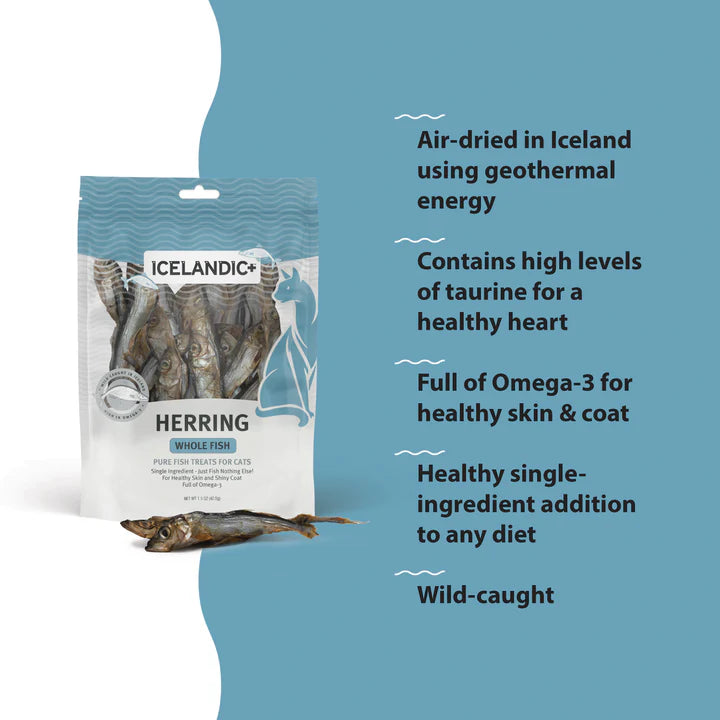 Herring Whole Fish Cat Treats