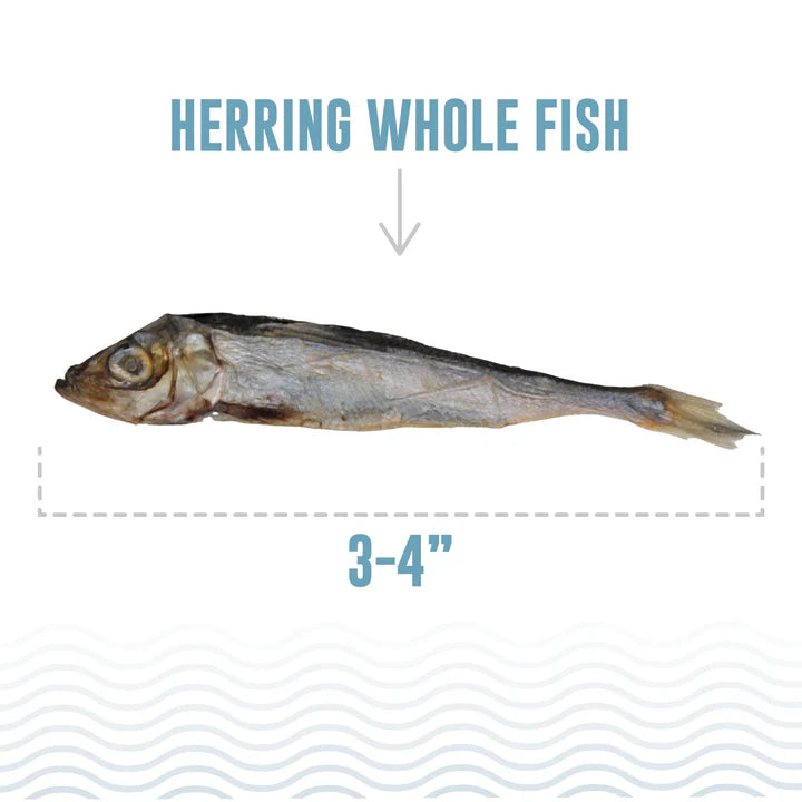 Herring Whole Fish Cat Treats