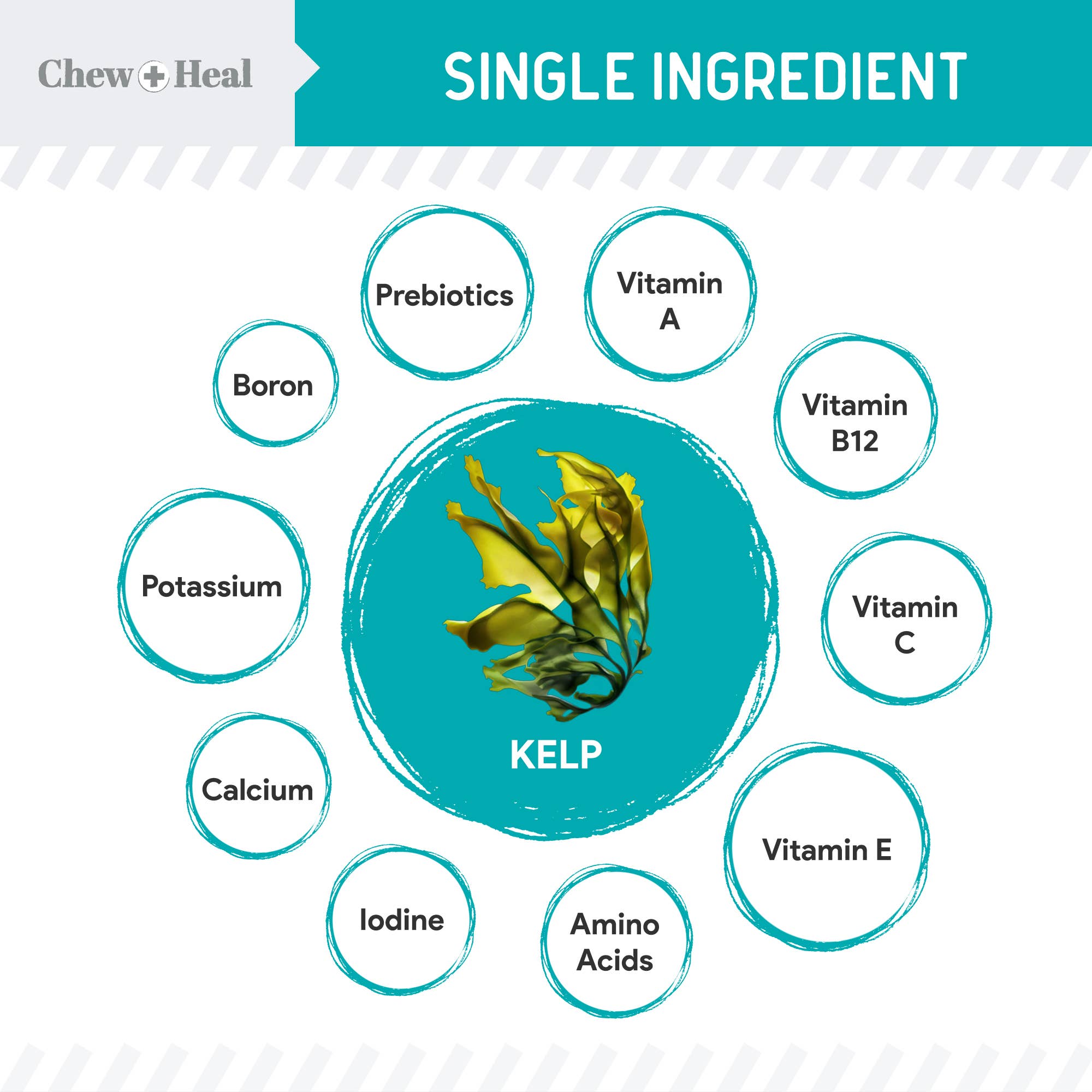 Organic Kelp Granules Marine Superfood Powder with Spoon