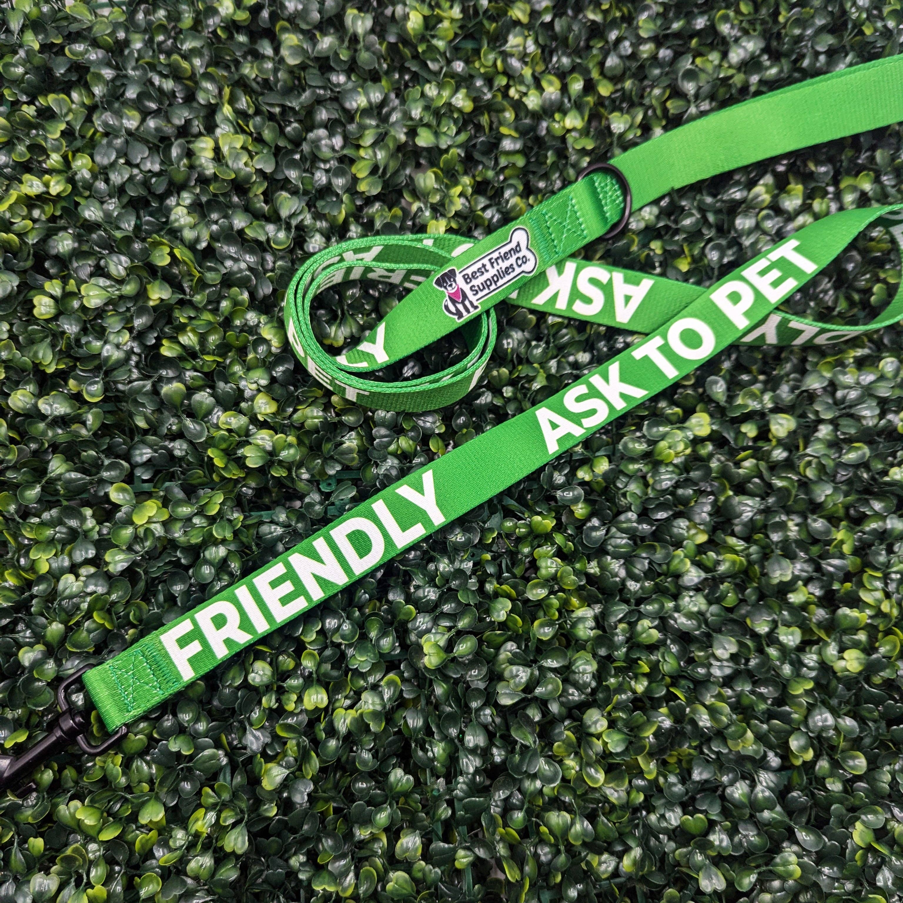 Friendly Ask to Pet Leash