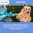 Advanced Chlorhexidine Medicated Wound Care Spray for Dogs