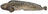 Icelandic Wolffish Stick & Pieces Fish Skin Chew Dog Treat