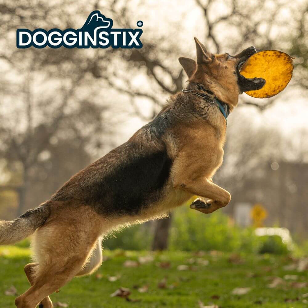 Beef Collagen UFO Dog Chew - Flying Disc Edible Treat