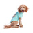 GF Pet Love Graphic Tee Aqua - Medium