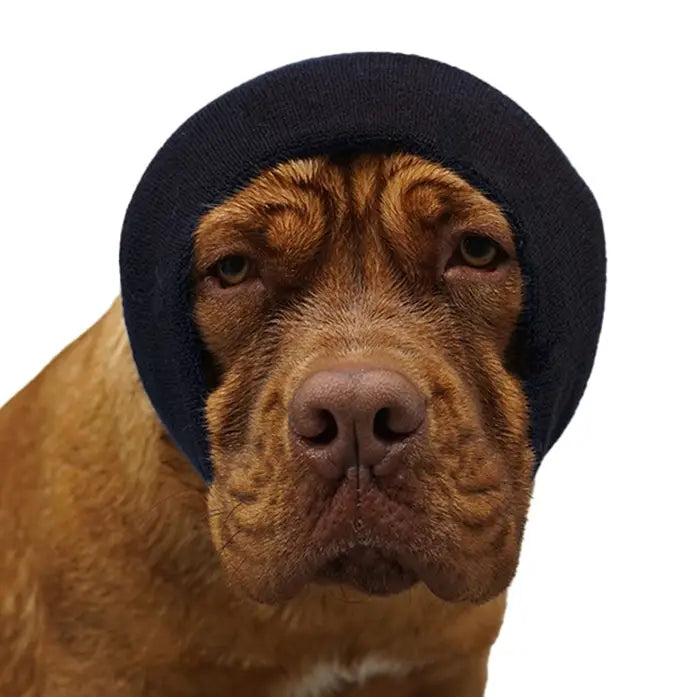 Happy Hoodie