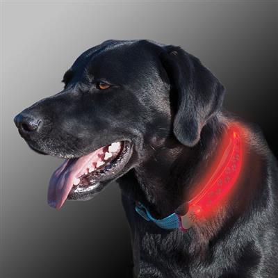 Led Collar Cover