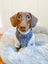 YOU’RE SO GLAM ADJUSTABLE SILVER OMBRE DOG & CAT HARNESS