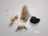 Rabbit Tails Dehydrated