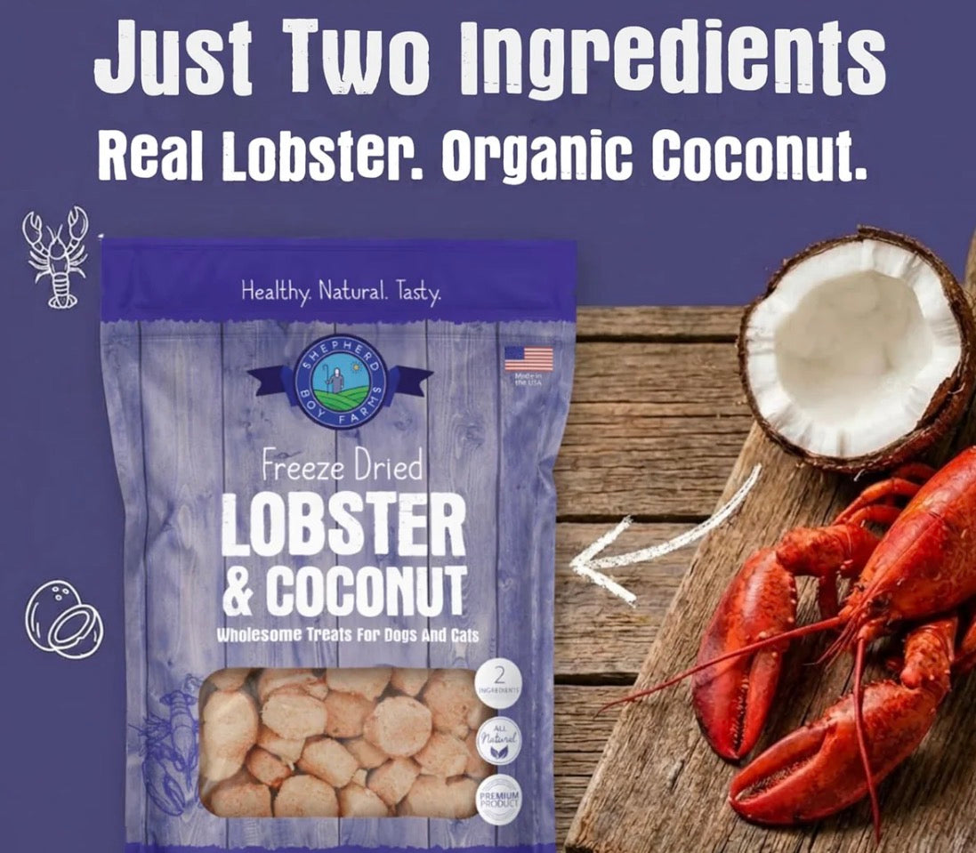 Lobster & Coconut Treat