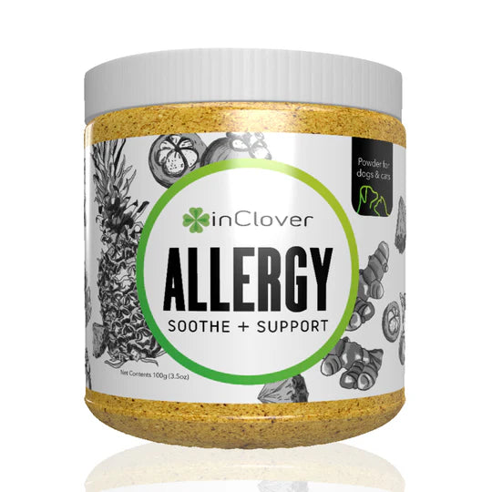 Allergy Supplement for Dogs + Cats