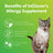 Allergy Supplement for Dogs + Cats