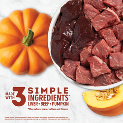 ACANA BEEF AND PUMPKIN FREEZE DRIED DOG TREATS