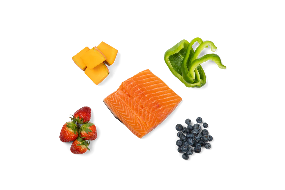 Bare Naked Salmon Meal Mixer