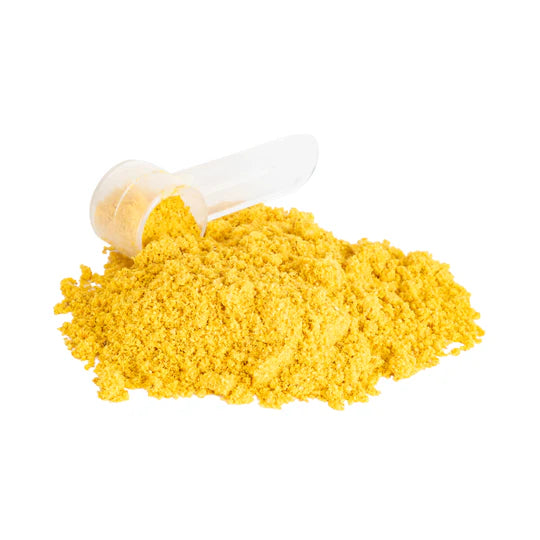 Skin + Coat Supplement for Dogs + Cats