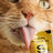 Smalls Lickable Treat for Cats - Chicken 8 Pack